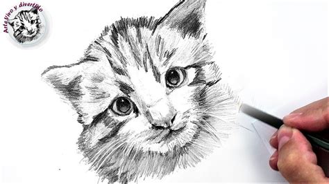 gato dibujo a lapiz|dibujar gato pequeno a lapiz.